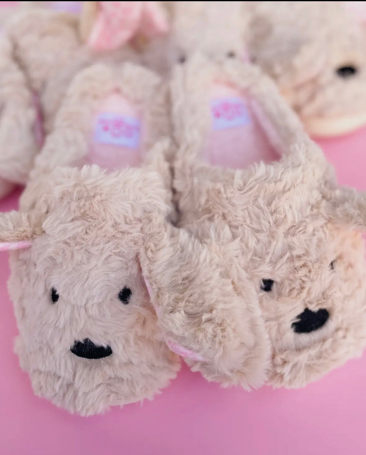 Cozy Dog Slippers