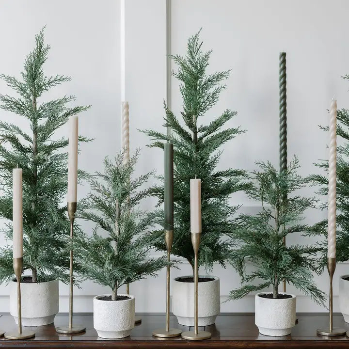 Cedar Tree with Cream Pot_24 inch