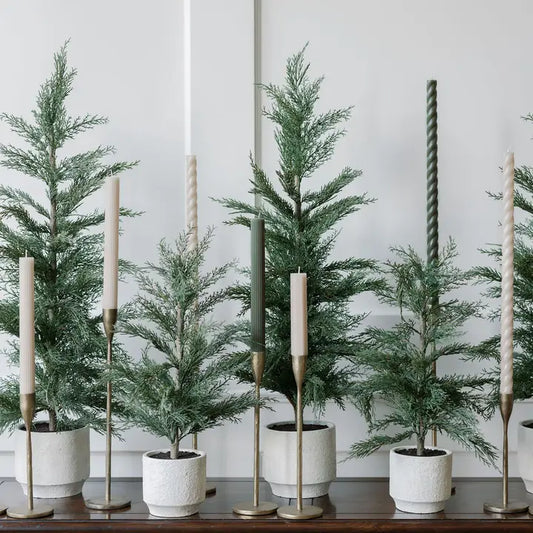 Cedar Tree with Cream Pot_24 inch