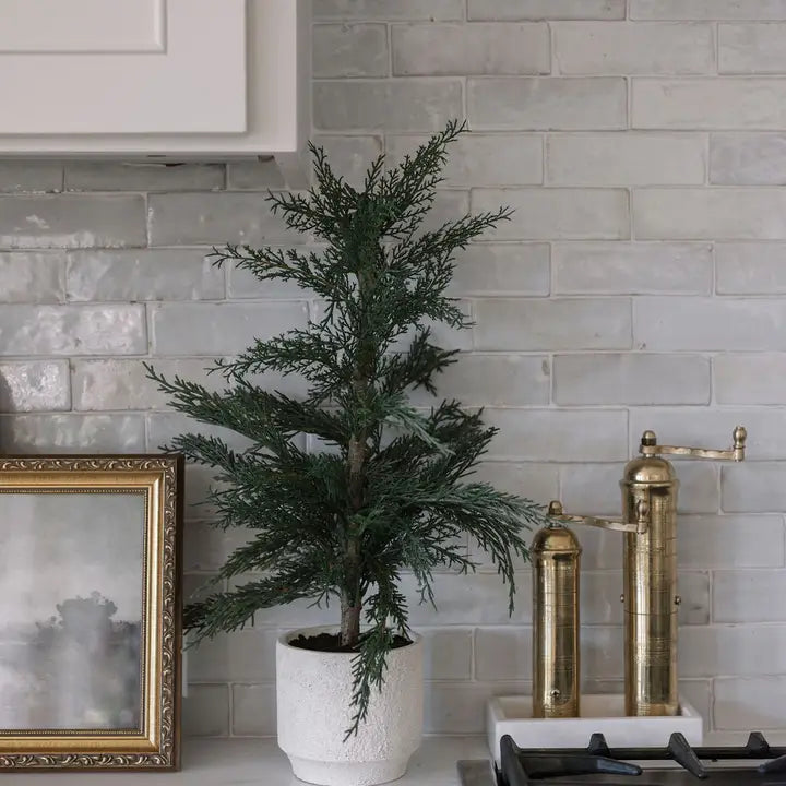 Cedar Tree with Cream Pot_24 inch